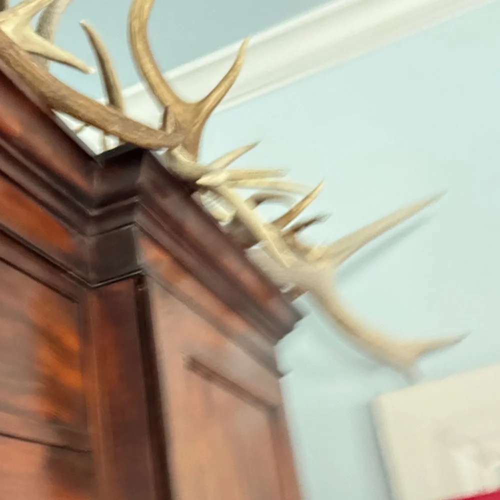 Pilcro Dark Blue Denim Mini Dress - Picture 6 of 8